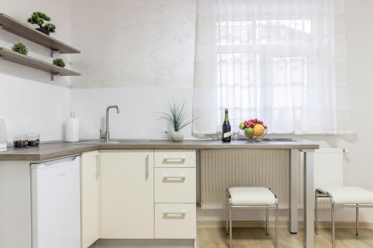 City Center VIP studio apartment Leopoli Esterno foto